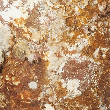 'Tirreno' Ancient Sea Amphora