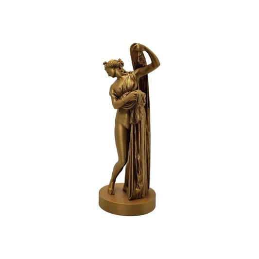 Venere Callipigia Statua stampata in 3D