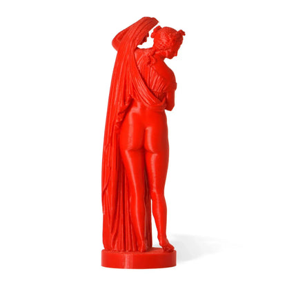 Venere Callipigia Statua stampata in 3D