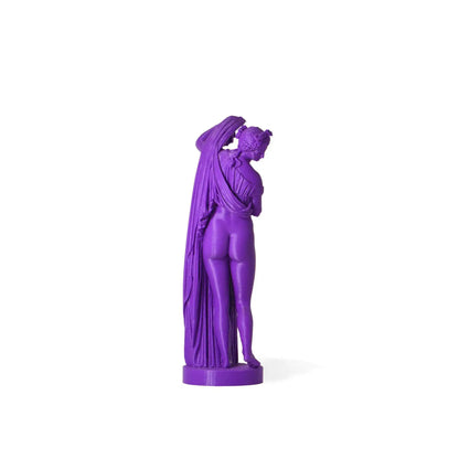 Venere Callipigia Statua stampata in 3D